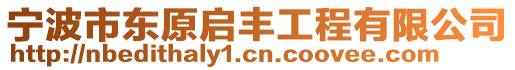 宁波市东原启丰工程有限公司