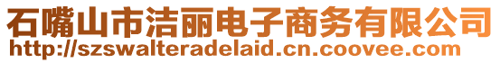 石嘴山市潔麗電子商務有限公司