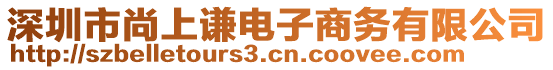 深圳市尚上謙電子商務(wù)有限公司