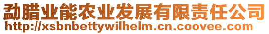 勐臘業(yè)能農(nóng)業(yè)發(fā)展有限責(zé)任公司
