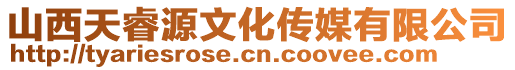山西天睿源文化傳媒有限公司