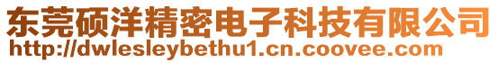 東莞碩洋精密電子科技有限公司