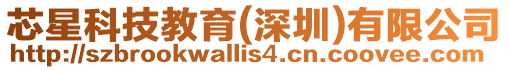 芯星科技教育(深圳)有限公司
