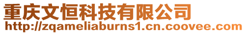 重慶文恒科技有限公司