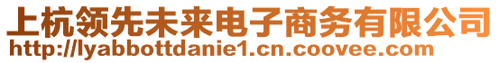 上杭領(lǐng)先未來電子商務(wù)有限公司