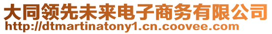 大同領(lǐng)先未來電子商務(wù)有限公司