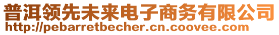 普洱領(lǐng)先未來(lái)電子商務(wù)有限公司