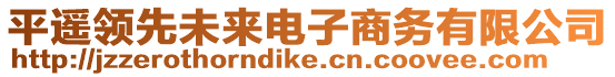 平遙領(lǐng)先未來電子商務(wù)有限公司