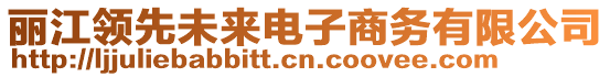 麗江領(lǐng)先未來電子商務(wù)有限公司