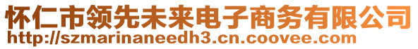 懷仁市領先未來電子商務有限公司
