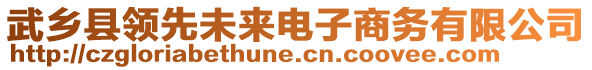 武鄉(xiāng)縣領(lǐng)先未來(lái)電子商務(wù)有限公司