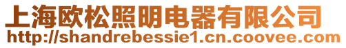 上海歐松照明電器有限公司