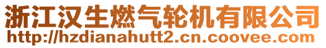 浙江漢生燃?xì)廨啓C(jī)有限公司