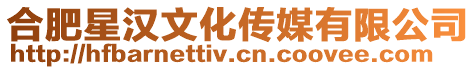合肥星漢文化傳媒有限公司