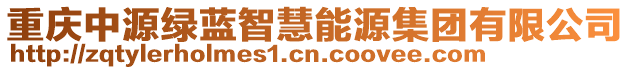 重慶中源綠藍智慧能源集團有限公司