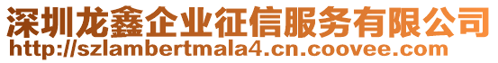 深圳龍鑫企業征信服務有限公司
