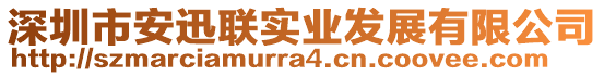 深圳市安迅聯實業發展有限公司