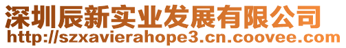 深圳辰新實業發展有限公司