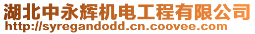 湖北中永輝機(jī)電工程有限公司