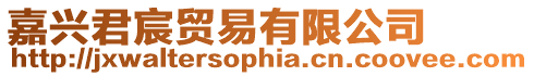 嘉興君宸貿易有限公司