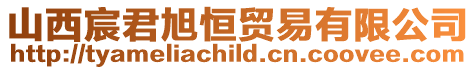 山西宸君旭恒貿易有限公司