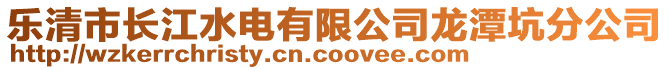 樂清市長(zhǎng)江水電有限公司龍?zhí)犊臃止? style=