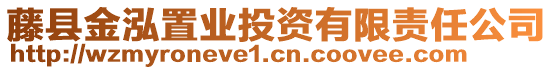 藤縣金泓置業(yè)投資有限責(zé)任公司