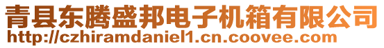 青縣東騰盛邦電子機箱有限公司