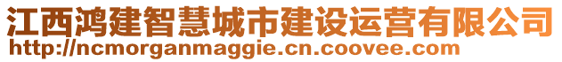 江西鴻建智慧城市建設(shè)運(yùn)營(yíng)有限公司