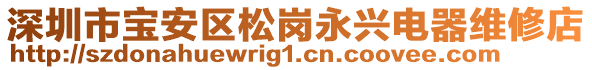 深圳市寶安區(qū)松崗永興電器維修店