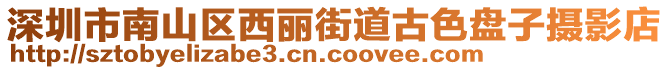 深圳市南山區(qū)西麗街道古色盤子攝影店