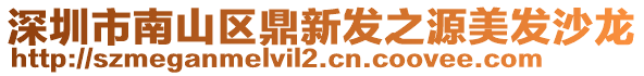 深圳市南山區(qū)鼎新發(fā)之源美發(fā)沙龍