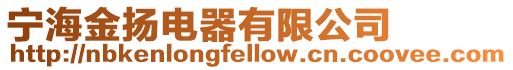 寧海金揚電器有限公司
