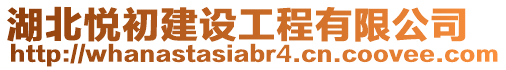 湖北悅初建設工程有限公司