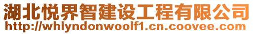 湖北悅界智建設工程有限公司