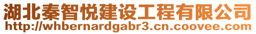 湖北秦智悅建設工程有限公司