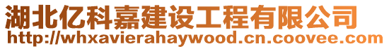 湖北億科嘉建設工程有限公司