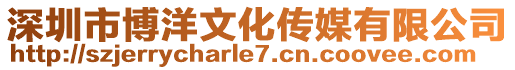 深圳市博洋文化傳媒有限公司