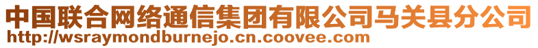 中國聯(lián)合網(wǎng)絡(luò)通信集團有限公司馬關(guān)縣分公司