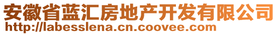 安徽省藍(lán)匯房地產(chǎn)開(kāi)發(fā)有限公司