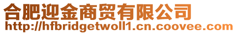 合肥迎金商貿(mào)有限公司