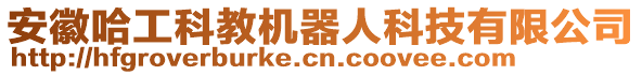 安徽哈工科教機器人科技有限公司