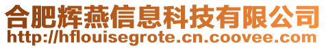 合肥輝燕信息科技有限公司