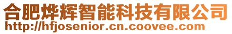 合肥燁輝智能科技有限公司