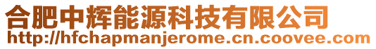 合肥中輝能源科技有限公司