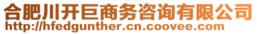 合肥川開(kāi)巨商務(wù)咨詢(xún)有限公司