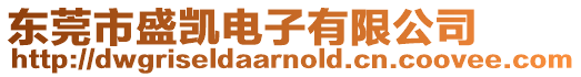 東莞市盛凱電子有限公司