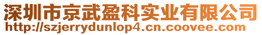 深圳市京武盈科實業(yè)有限公司