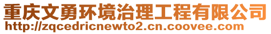 重慶文勇環(huán)境治理工程有限公司