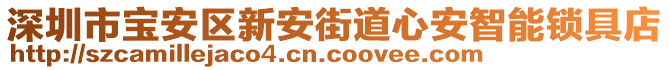 深圳市寶安區(qū)新安街道心安智能鎖具店